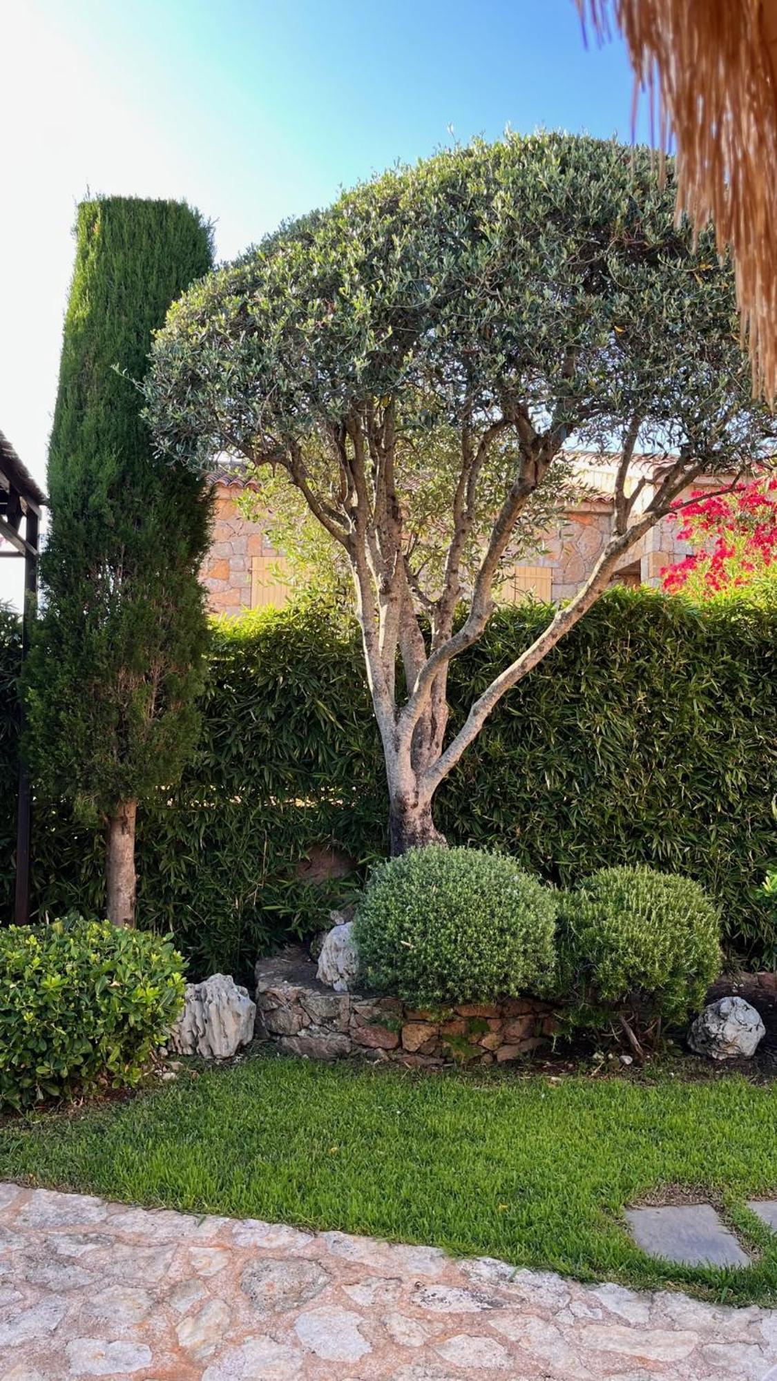 Chez Virginie Bed and Breakfast Porto-Vecchio  Buitenkant foto